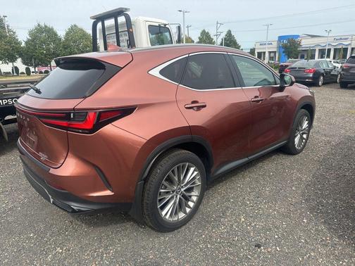 2025 Lexus NX 350h Luxury