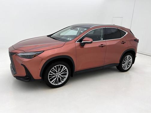 2025 Lexus NX 350h Luxury