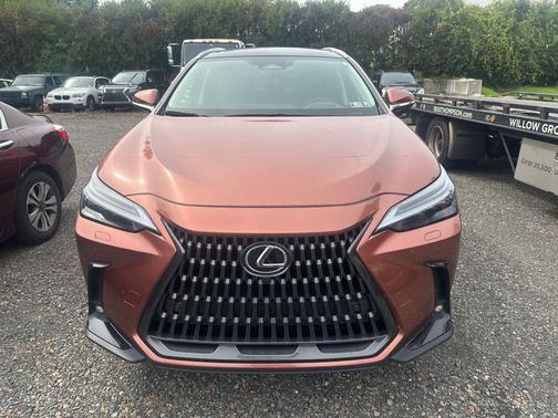 2025 Lexus NX 350h Luxury