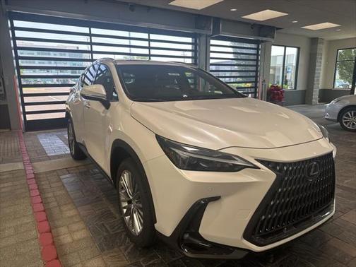 2025 Lexus NX 350h Premium