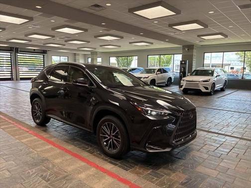 2025 Lexus NX 350 Premium