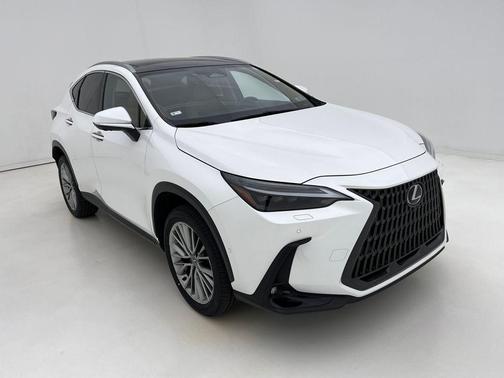 2024 Lexus NX 350h Luxury