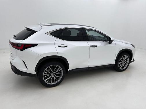 2024 Lexus NX 350h Luxury