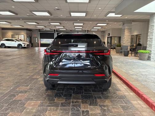 2025 Lexus NX 350h Premium
