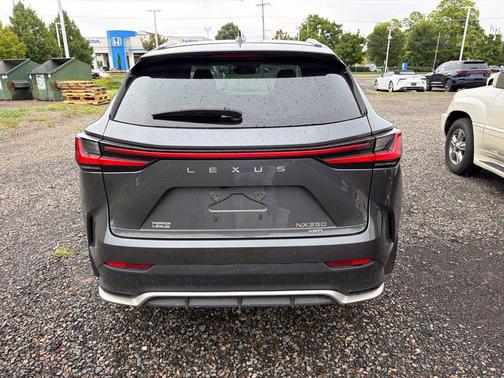 Grey 2024 Lexus NX 350 F SPORT Handling