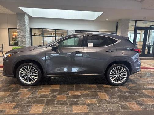 2025 Lexus NX 350h Premium