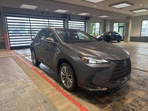 2025 Lexus NX 350h Premium
