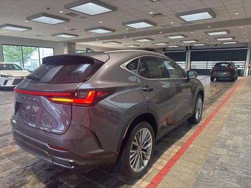 2025 Lexus NX 350h Premium
