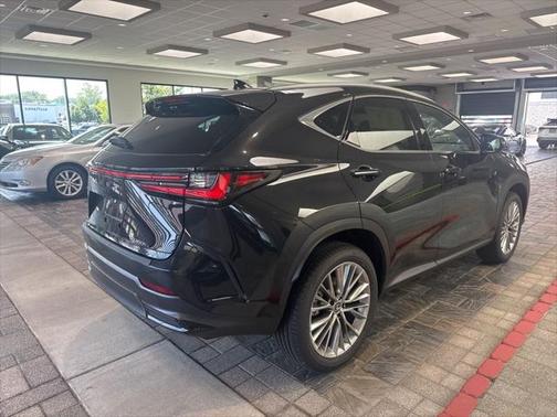 2025 Lexus NX 350h Premium