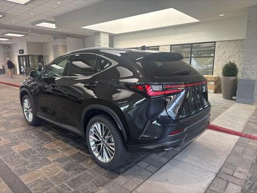2025 Lexus NX 350h Premium