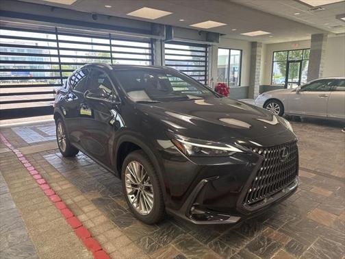 2025 Lexus NX 350h Premium