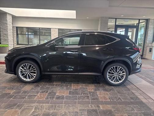 2025 Lexus NX 350h Premium