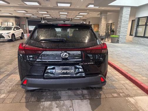 2025 Lexus UX 300h Premium