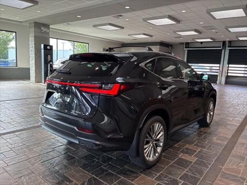 2025 Lexus NX 350h Premium