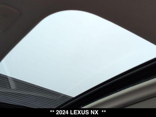 2024 Lexus NX 350 350 Base