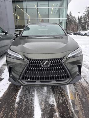 2023 Lexus NX 350 Luxury