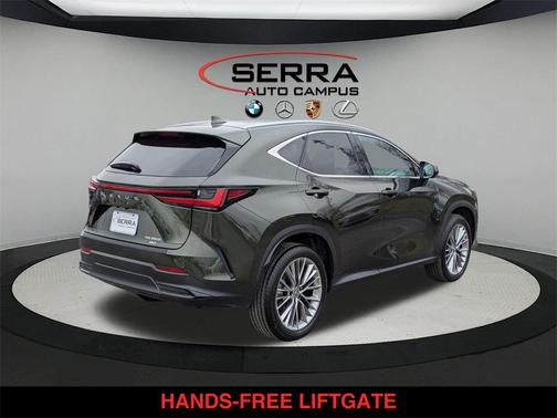 2025 Lexus NX 350h Premium
