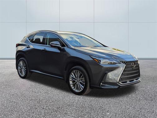 2025 Lexus NX 350h Premium