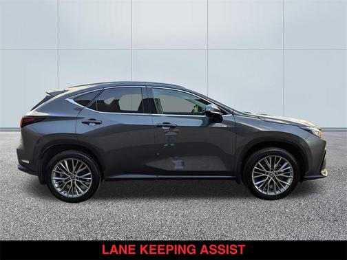 2025 Lexus NX 350h Premium