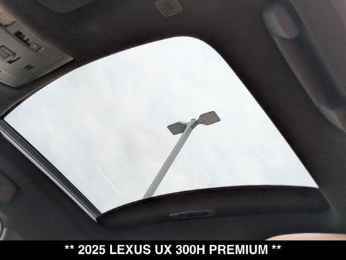 Iridium 2025 Lexus UX 300h Premium