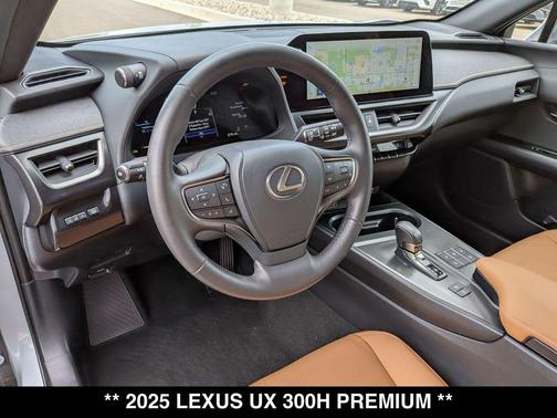 Iridium 2025 Lexus UX 300h Premium