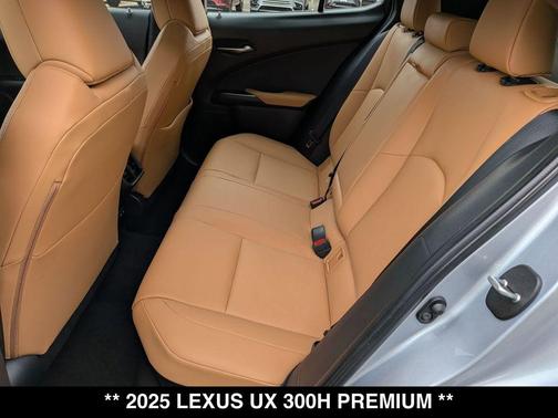 Iridium 2025 Lexus UX 300h Premium