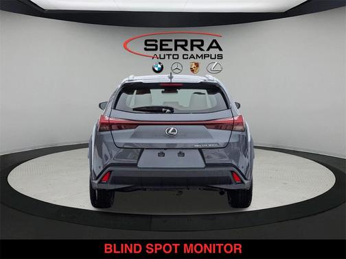 2025 Lexus UX 300h Premium