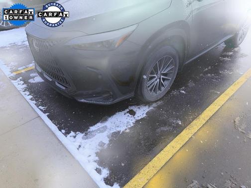 2024 Lexus NX 350 Premium