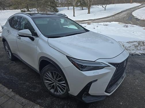 2024 Lexus NX 350 Luxury