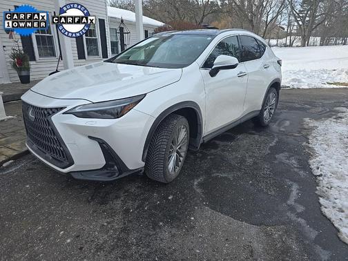 2024 Lexus NX 350 Luxury