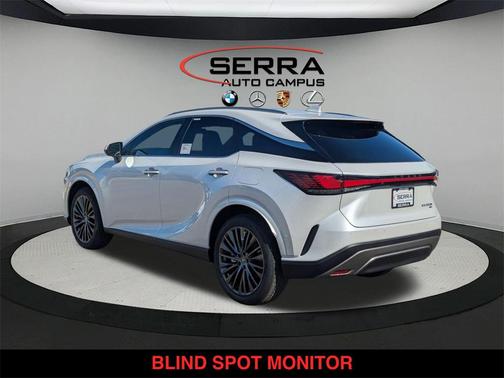 2025 Lexus RX 350 Luxury