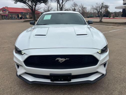 2019 Ford Mustang EcoBoost