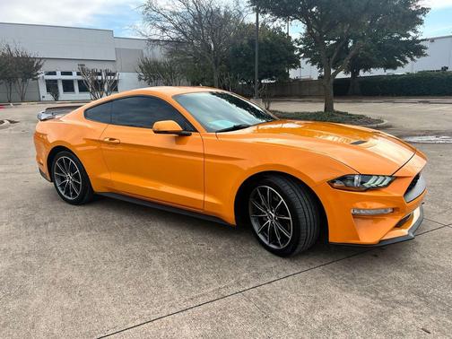 2019 Ford Mustang EcoBoost