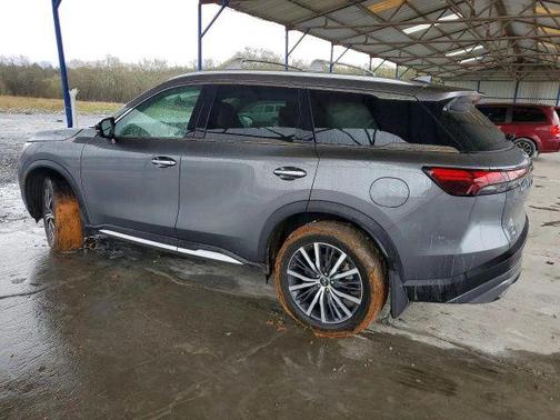Graphite Shadow 2024 INFINITI QX60 SENSORY