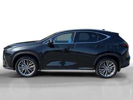2025 Lexus NX 350 Luxury