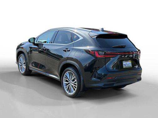 2025 Lexus NX 350 Luxury