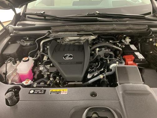 2025 Lexus RX 350 Luxury