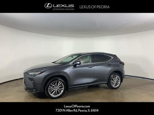 2025 Lexus NX 350 Premium