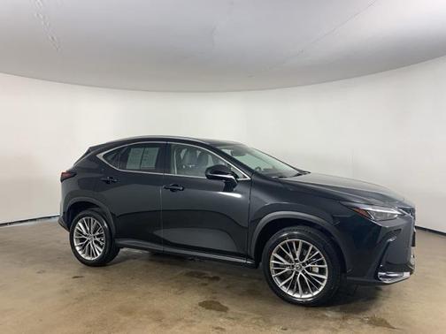 2022 Lexus NX 350 Premium