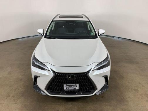 2023 Lexus NX 350 Luxury