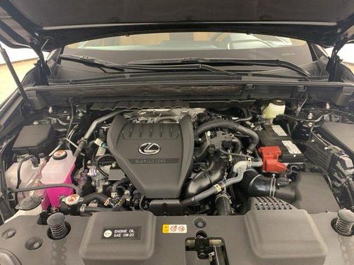 2025 Lexus NX 350 NX 350