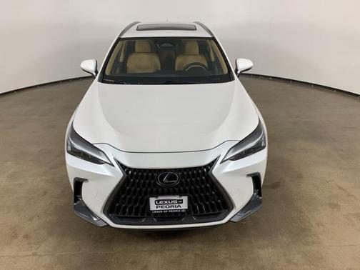 2023 Lexus NX 250 Premium