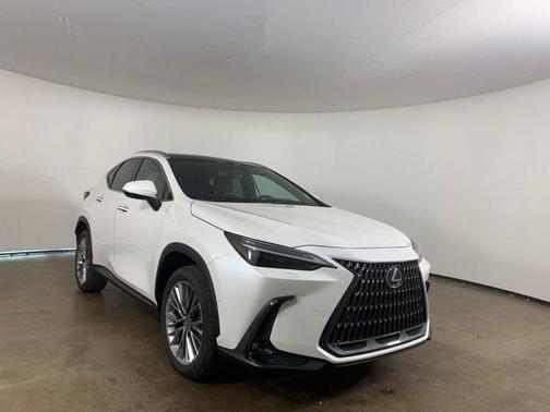 2025 Lexus NX 350 Luxury