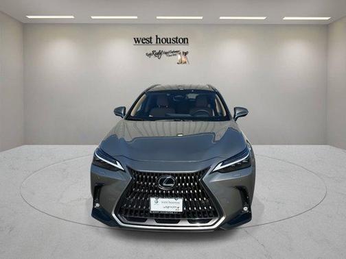 2025 Lexus NX 350h Luxury