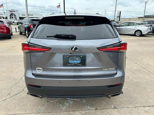Nebula Gray Pearl 2019 Lexus NX 300 F Sport