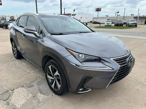 Nebula Gray Pearl 2019 Lexus NX 300 F Sport