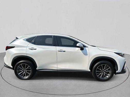 2024 Lexus NX 350h Luxury