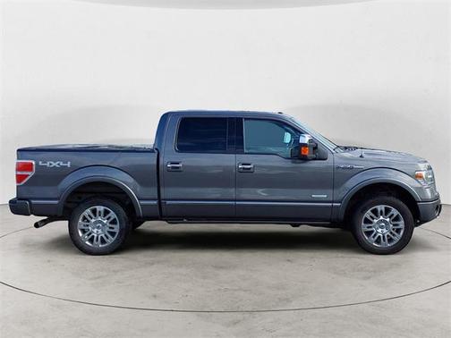 2014 Ford F-150 Platinum