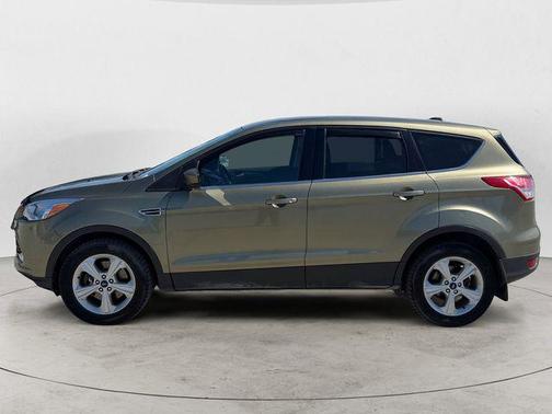 Ginger Ale Metallic 2014 Ford Escape SE