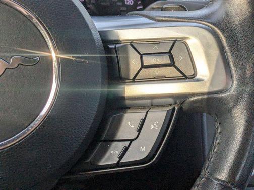 Ingot Silver Metallic 2019 Ford Mustang EcoBoost